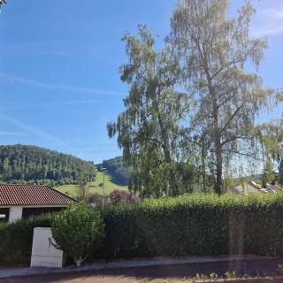 Ferienwohnung vier Jahreszeiten - Burladingen - 6