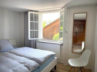 Charmante Wohnung im alten Dorfkern - Winterthur - 7