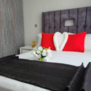 Webber Generation Fridah one bedroom homes - Naivasha - 0