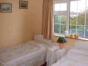 Dun Roamin - Galway - 8
