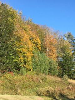 Catskill Cabin, Cool Apartment, 2nd Floor - Shandaken - 3