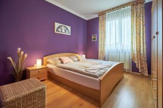Rosalie Apartman Hajdúszoboszló 7 percre a fürdőtől - Hajdúszoboszló - 5