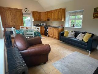 Cottage in the Dublin mountain - Dublino - 8