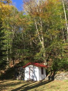 Catskill Cabin, Chill Apartment, 1st Fl - Shandaken - 4