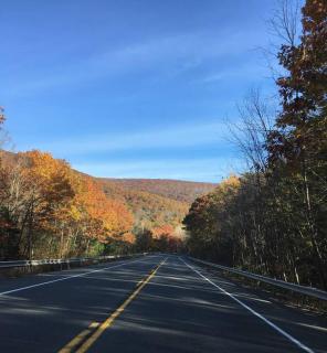 Catskill Cabin, Chill Apartment, 1st Fl - Shandaken - 3