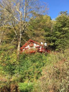 Catskill Cabin, Chill Apartment, 1st Fl - 2