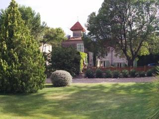 Spacious holiday home with private pool and park - Puisserguier - 1