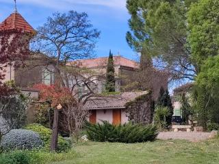 Spacious holiday home with private pool and park - Puisserguier - 2
