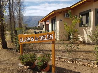 Álamos de Belén - 0