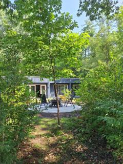 earthship forest exile - - 4