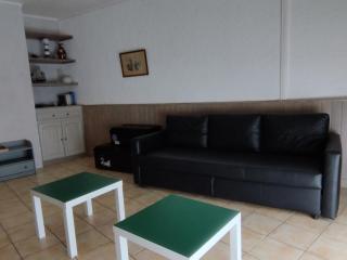Maison familiale 10 pers avec jardin et parking à Saint-Georges d'Oléron - FR-1-778-31 - Saint-Georges-d'Oléron - 1