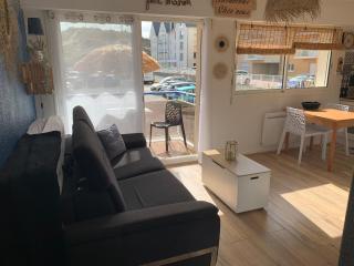 T2 Proche Plage, Balcon Est, Animaux Acceptés - FR-1-482-148 - 9