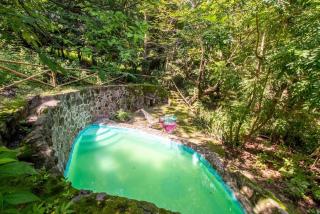 Natural Retreat & Pet-Friendly Escape - 6