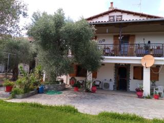 Villa Asimidou - Agia Paraskevi - 8