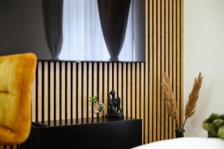 Luxury Musicians Apartment in Central Prague by metro Vyšehrad - Prague - 3