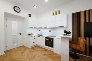Luxury Musicians Apartment in Central Prague by metro Vyšehrad - Prague - 8