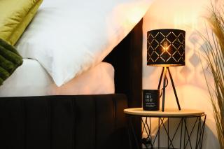 Luxury Musicians Apartment in Central Prague by metro Vyšehrad - Prague - 1
