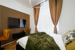 Luxury Musicians Apartment in Central Prague by metro Vyšehrad - Prague - 4