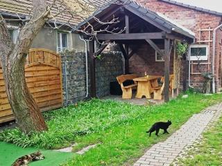 Landurlaub bei Familie Mathen - 9