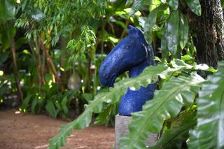 The Fern Cove Villa - Colombo - Battaramulla - 5