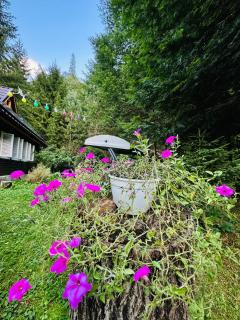 Casa NOR - Tarcău - 8