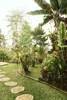 Teba One Cottages Ubud - Ubud - 1