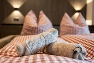 Planai Home - Schladming - Schladming - 3