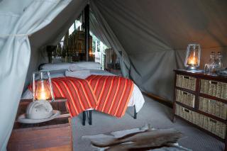 Quatermain's 1920's Safari Camp – Amakhala Game Reserve - 0