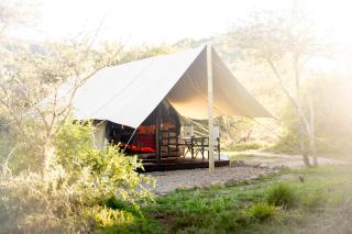 Quatermain's 1920's Safari Camp – Amakhala Game Reserve - Réserve animalière d'Amakhala - 9