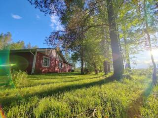 Metsäranta - Kalajoki - 8