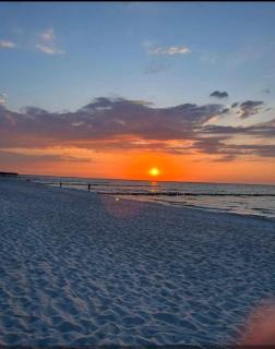 App 8o großer Tag am Meer mit Wasserblick - Dranske - 4