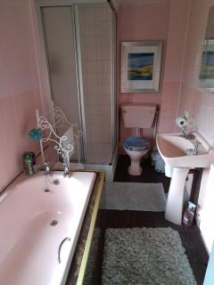 Ty Gwyn Farmhouse - Brecon - 1