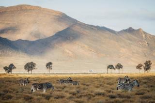Aquila Private Game Reserve & Spa - Touwsrivier - 2