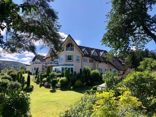 Sunside Ferien Wellness Oase Hotel Apartment's Schwarzwald am Schluchsee - Schluchsee - 4