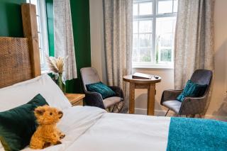 Bulls Head - Holymoorside - Chesterfield - 1