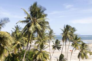 Beachfront Luxurious Apartment - 0