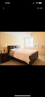 Peaceful and Spacious Lake View - 8