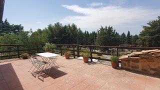 Agriturismo Il Cocco - Montalcino - 7
