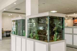 Hilton Garden Inn Outer Banks/Kitty Hawk - Kitty Hawk - 7