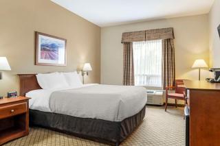 Quality Inn Airport - Moncton - 7