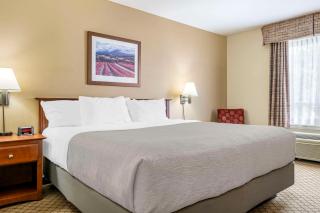 Quality Inn Airport - Moncton - 8