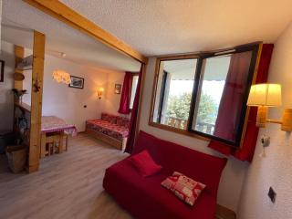 Les Choucas - Aime-la-Plagne - 6