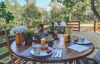Amazing Home In La Garde-Freinet - La Garde-Freinet - 8