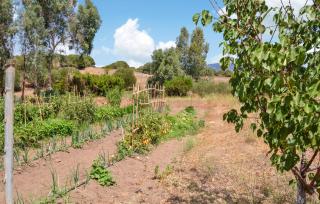 Nice Home In Orgosolo With Wifi - Orgosolo - 3