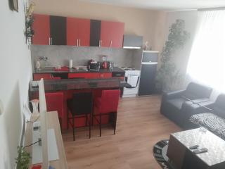 Apartman TWINS - Subotica - 4