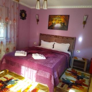 Casa Nicolas Busteni - Buşteni - 4