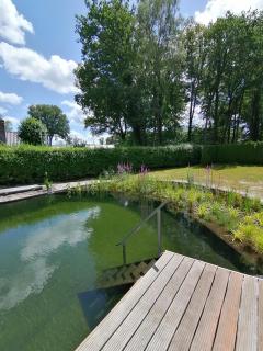 Morning Glory, huisje Forest - 2