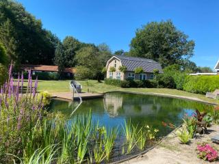 Morning Glory, huisje Forest - 1