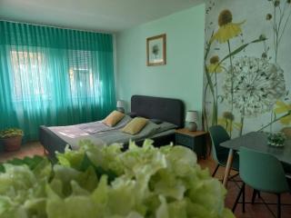 Heleniums Apartment - Hajdúszoboszló - 7
