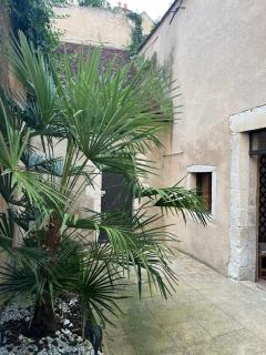 Cosy appartement Hyper centre ville avec cour + Patio - Auxerre - 0